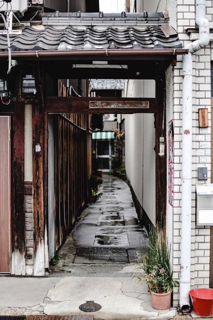 Explore the narrow, traditional alleyways of Tokyo, Japan in this vertical shot.